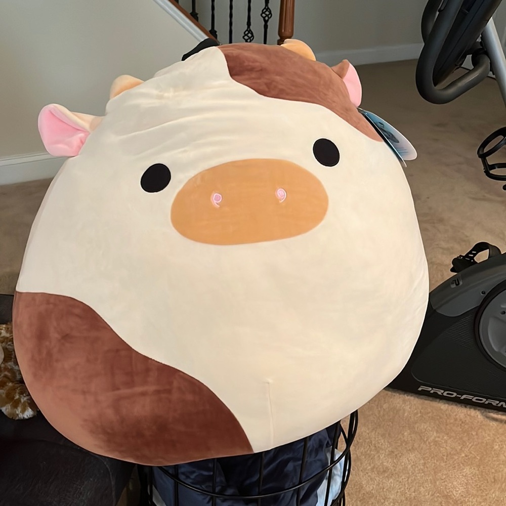 Original Squishmallows Ronnie 24’